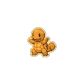 Gold Squirtle